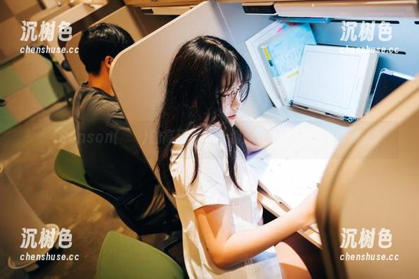 Sonson(손손)的高清女仆计划：仆人在暗黑中舞动