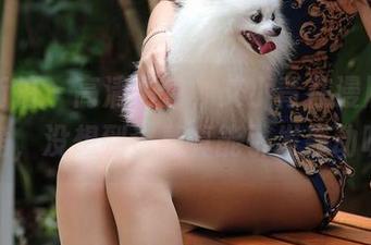 魔镜街拍 - 高清图包，艾小青在漫展当女主角，没想到这幕真能引发轰动呢！